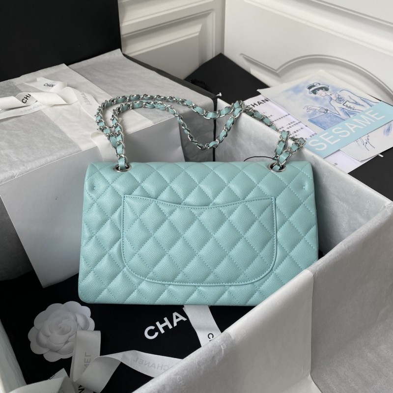 Ch*el Classic Flap Bag A01113, Top Quality, Medium Size: 23cm